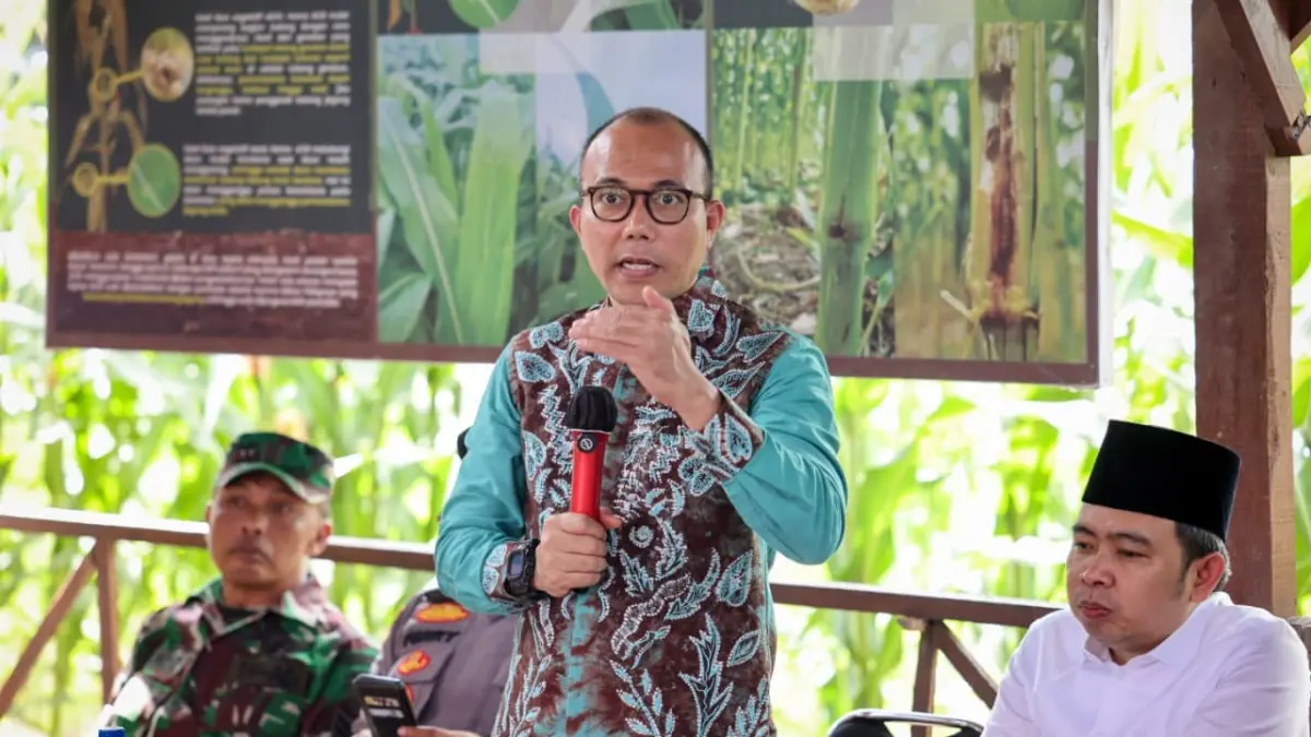 AKSES KUR:Plt. Deputi Bidang Usaha Mikro KemenUMKM Riza Damanik saat tanam perdana jagung di Jember.