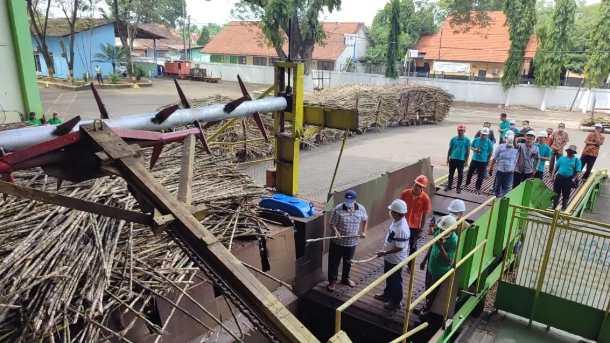 Rencana pemerintah mewajibkan industri gula rafinasi memiliki kebun tebu sendiri mendapat sorotan dari kalangan ekonom dan pengamat pertanian.