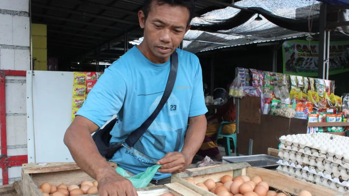 Peternak mengeluhkan harga pakan yang melonjak hingga 25 persen, sementara harga telur di tingkat kandang justru anjlok sekitar Rp15.000 per kilogram.