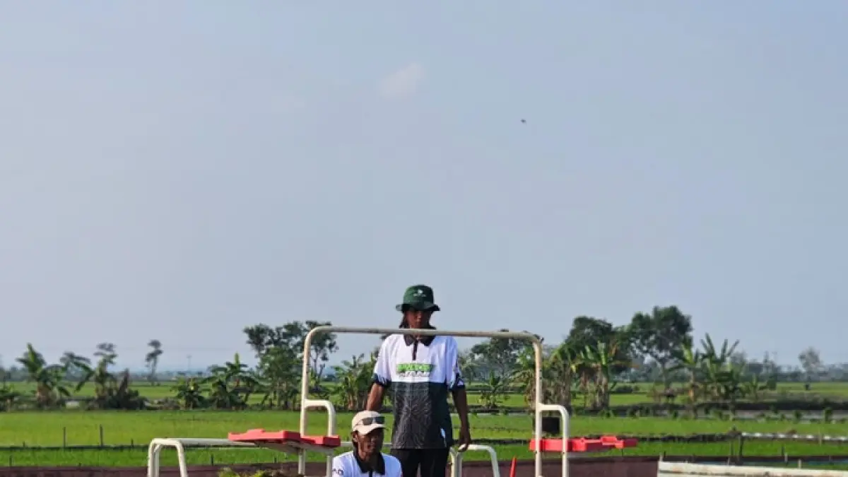 Petani menggunakan mesin tanam (rice transplanter) guna mempercepat produksi pertanian nasional.