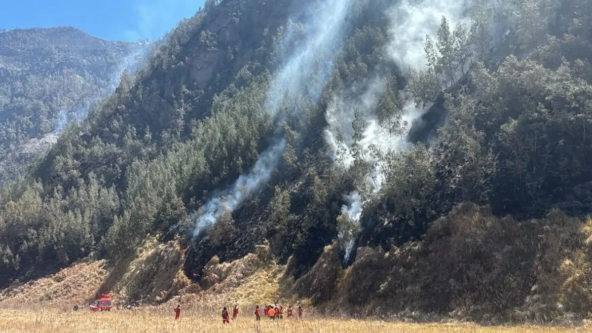 Hingga Jumat (14/8), luas area wisata Bromo yang terbakar diperkirakan mencapai 1.120,3 hektare dan masih dalam proses pendataan ulang.