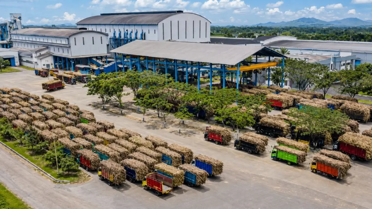 Hampir seluruh pabrik gula (PG) di lingkungan SGN mencatat peningkatan volume tebu giling maupun produksi gula pada semester I 2026.