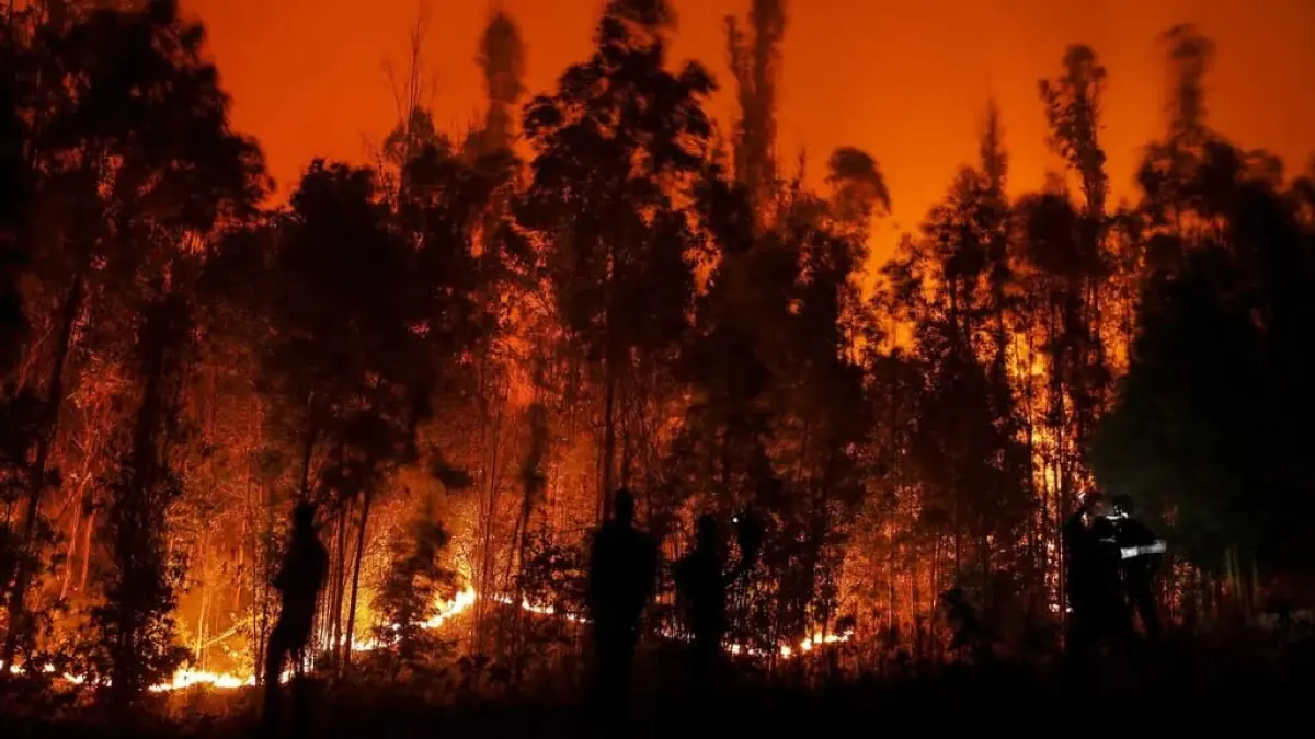 Data BNPB menyebut 99 persen karhutla di Indonesia dipicu aktivitas manusia untuk buka lahan, picu krisis kabut asap berulang.