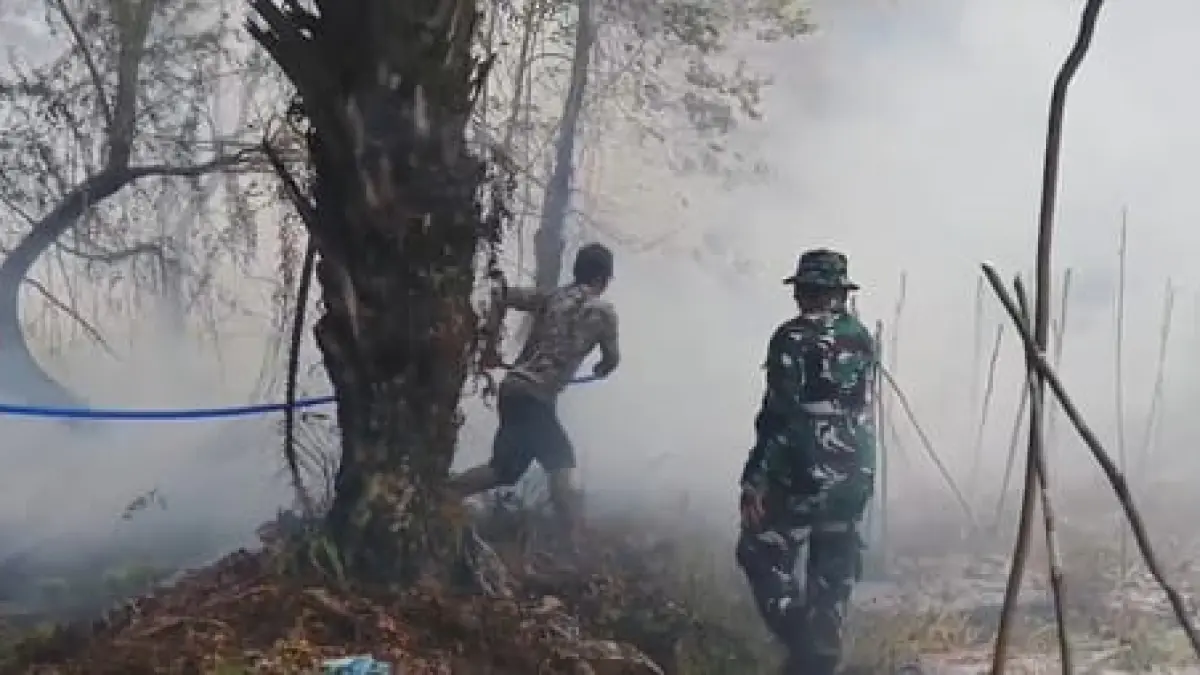 Kabut asap akibat karhutla menyelimuti kawasan Kalimantan, mengancam kesehatan warga. Kemenkes mencatat 3,4 juta jiwa terdampak dengan kasus ISPA yang melonjak drastis.