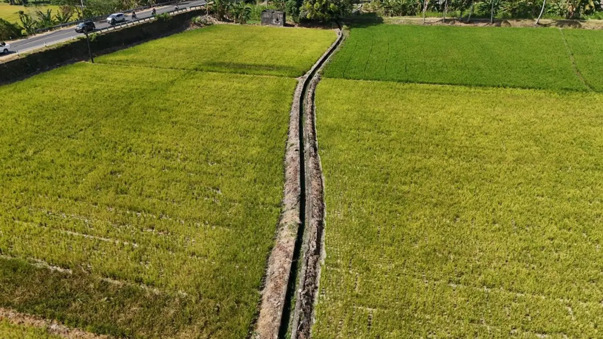 Saluran irigasi di area persawahan yang dioptimalkan Kementan untuk hadapi musim kemarau.