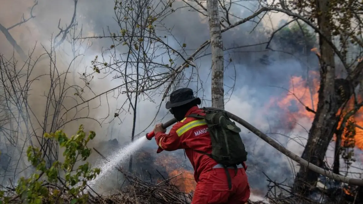 IMBAS: Kebakaran hutan dan lahan (karhutla) mulai menghantam sektor pariwisata Jawa Timur.