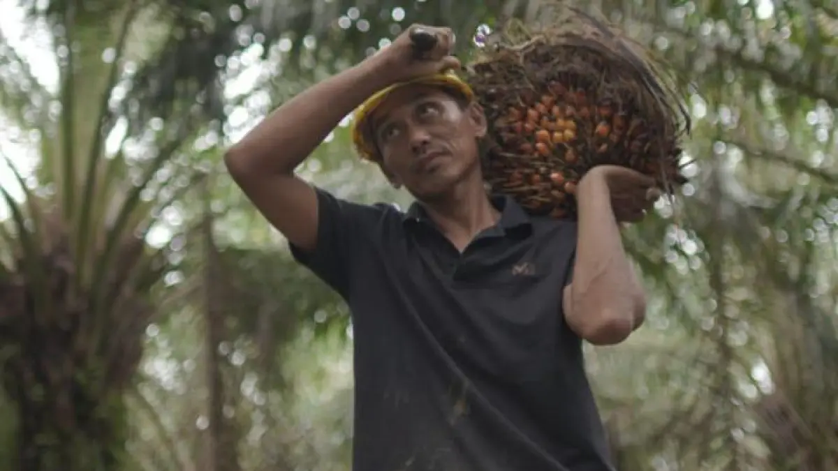 KELAPA SAWIT: Mentan Amran dorong hilirisasi untuk tingkatkan nilai tambah petani.