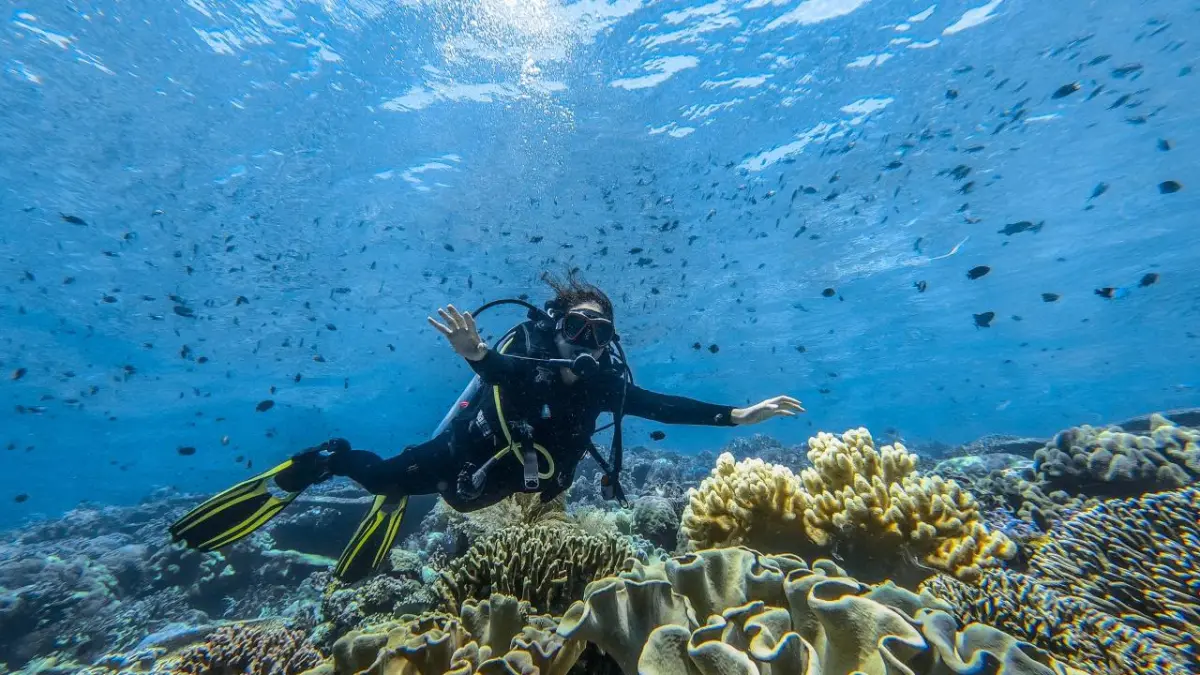 Penyelam menikmati terumbu karang Raja Ampat. Kemenpar larang keras perusakan ekosistem bawah laut.