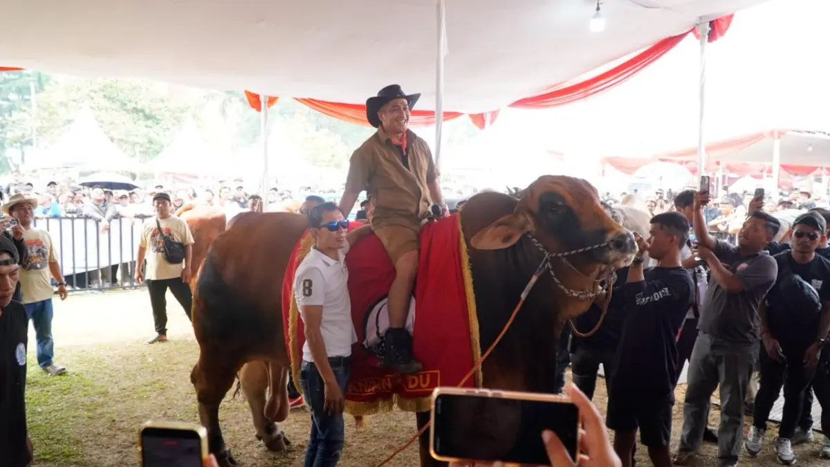 Suasana Kontes Sapi APPSI Piala Presiden 2026 di Bogor yang menampilkan sapi unggulan berbobot besar.