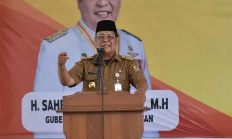 Gubernur Kalimantan Selatan H Sahbirin Noor. (Jawa Pos)
