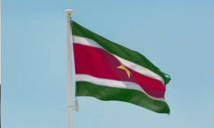 Bendera Suriname. (Pexels)