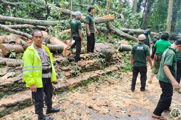Pihak Kepolisian, BPBD, TNI dan masyarakat melakukan pembersihan dahan pohon yang jatuh di objek wisata Monkey Forest, Bali, Selasa (10/12).