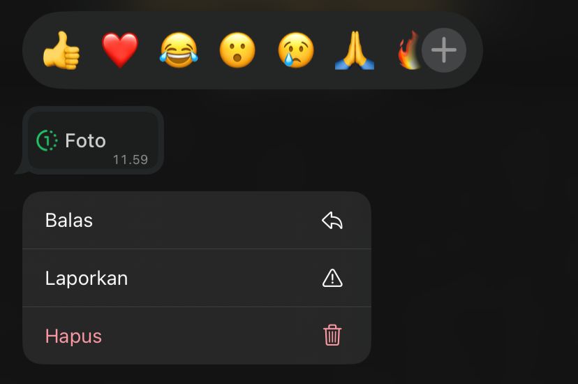 Fitur foto sekali lihat di WhatsApp