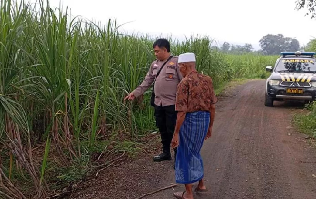 OLAH TKP: Korban Holil (pakai peci putih) menunjukkan lokasi ia kena begal di kawasan kebun tebu Desa Karang Tengah, Winongan, Pasuruan (23/2).
