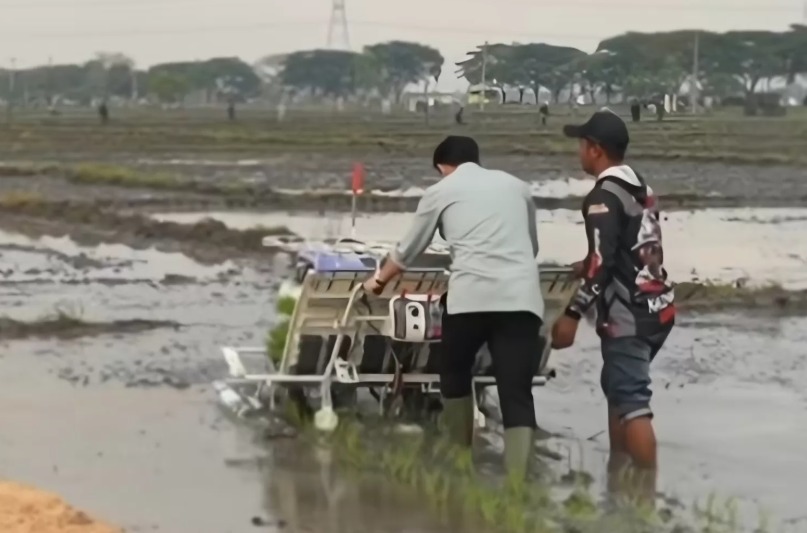 Sebuah video pendek menampilkan Wakil Presiden (Wapres) Gibran Rakabuming Raka tengah menanam padi menggunakan alat teknologi pertanian. (Istimewa)