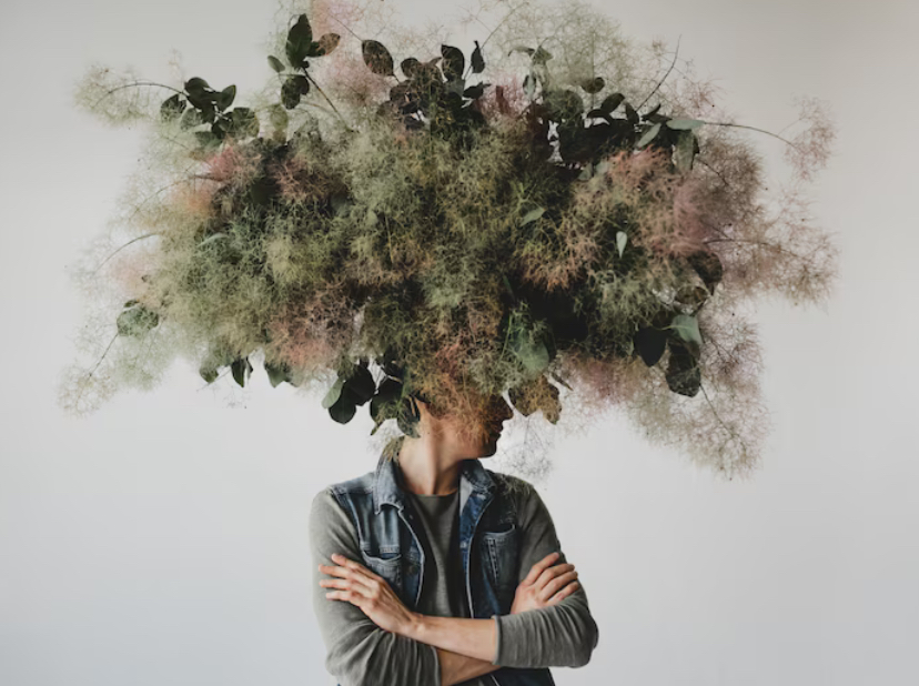 Ilustrusi INFJ - ENTP