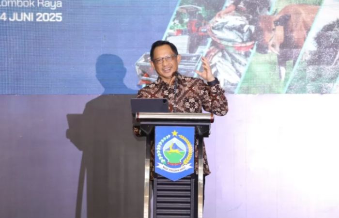 Mendagri Tito Kini Izinkan Kepala Daerah dan ASN ke Luar Negeri, Asal Daerah Aman