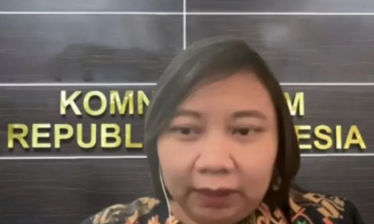 Tangkapan layar Ketua Komnas HAM Anis Hidayah. (ANTARA/Donny Aditra)