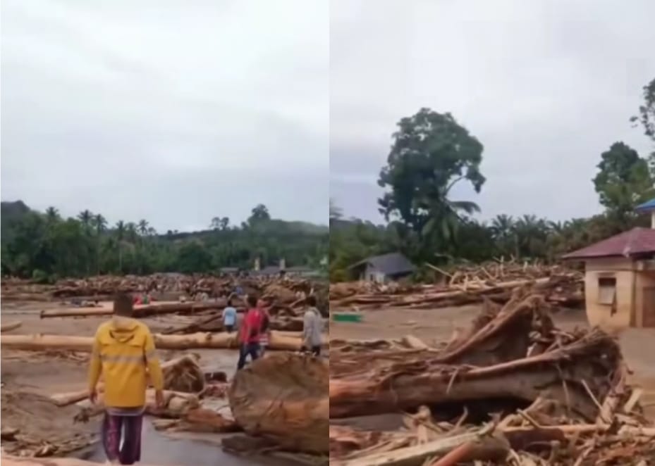Kayu gelondongan yang menghantam rumah-rumah di Tapanuli Selatan saat banjir bandang.