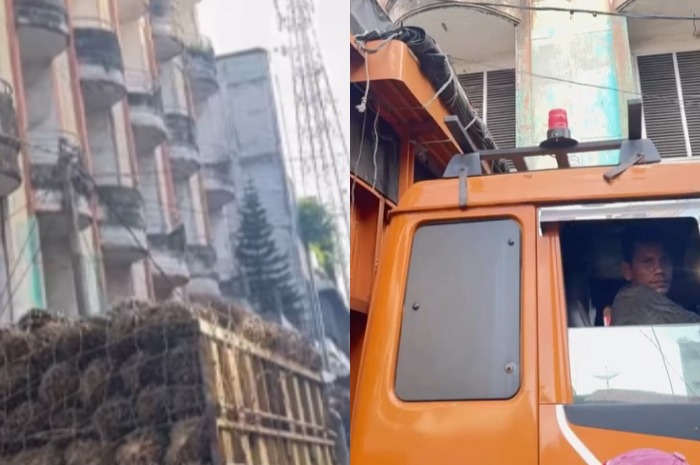 Menyoroti viralnya truk pengangkut sawit yang konvoi melintasi jalanan setelah bencana banjir bandang di Provinsi Aceh.