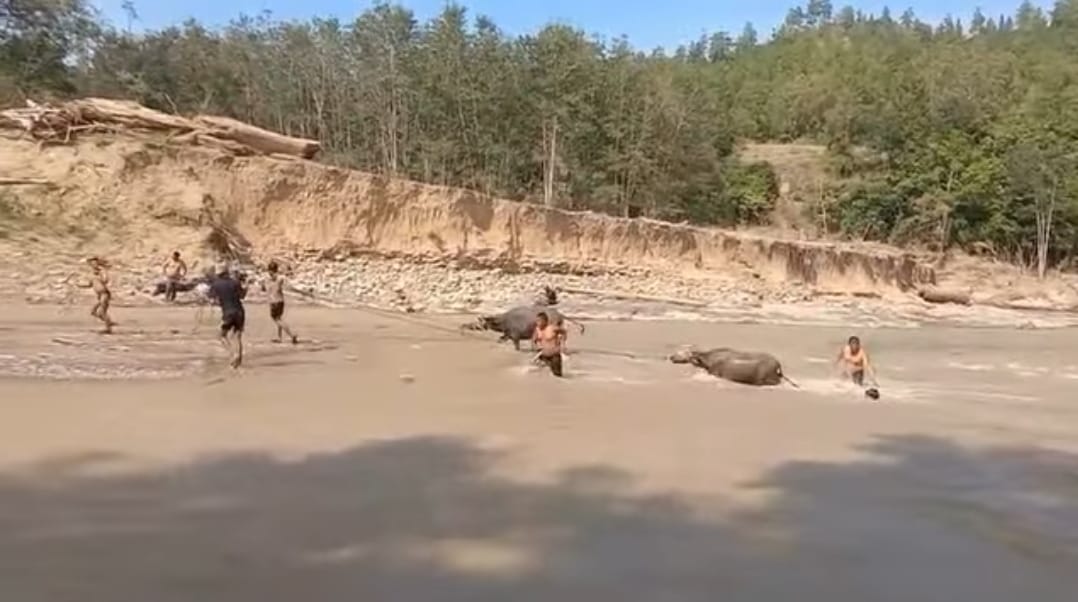 Persiapan tradisi Daging Meugang di Wih Dusun Jamat, Kecamatan Linge, Aceh Tengah.