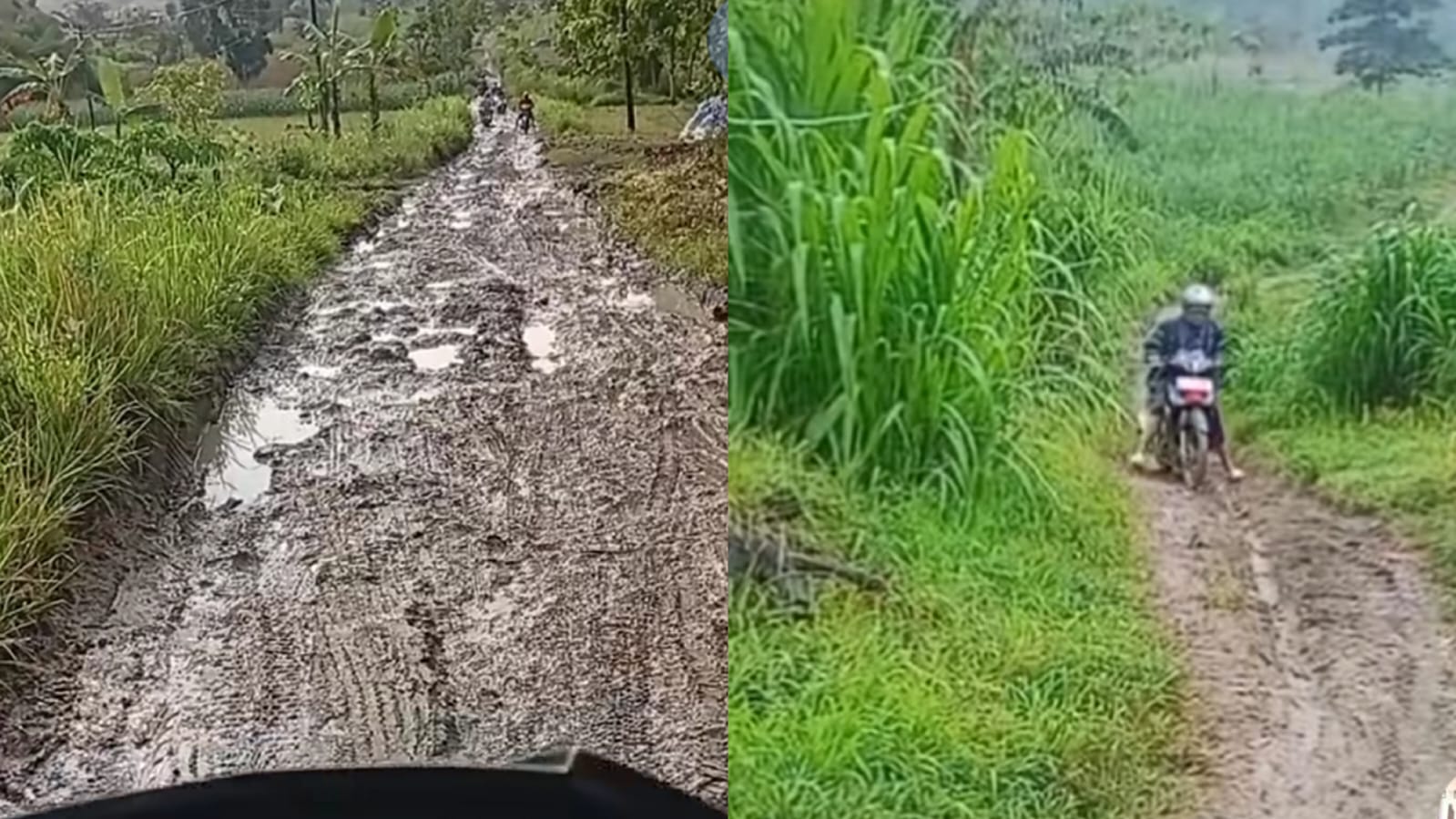 Viral video seorang guru di Grobogan, mengeluhkan akses jalan yang sulit untuk sampai ke sekolah. (TikTok/bu_guru_nieng_kls4)