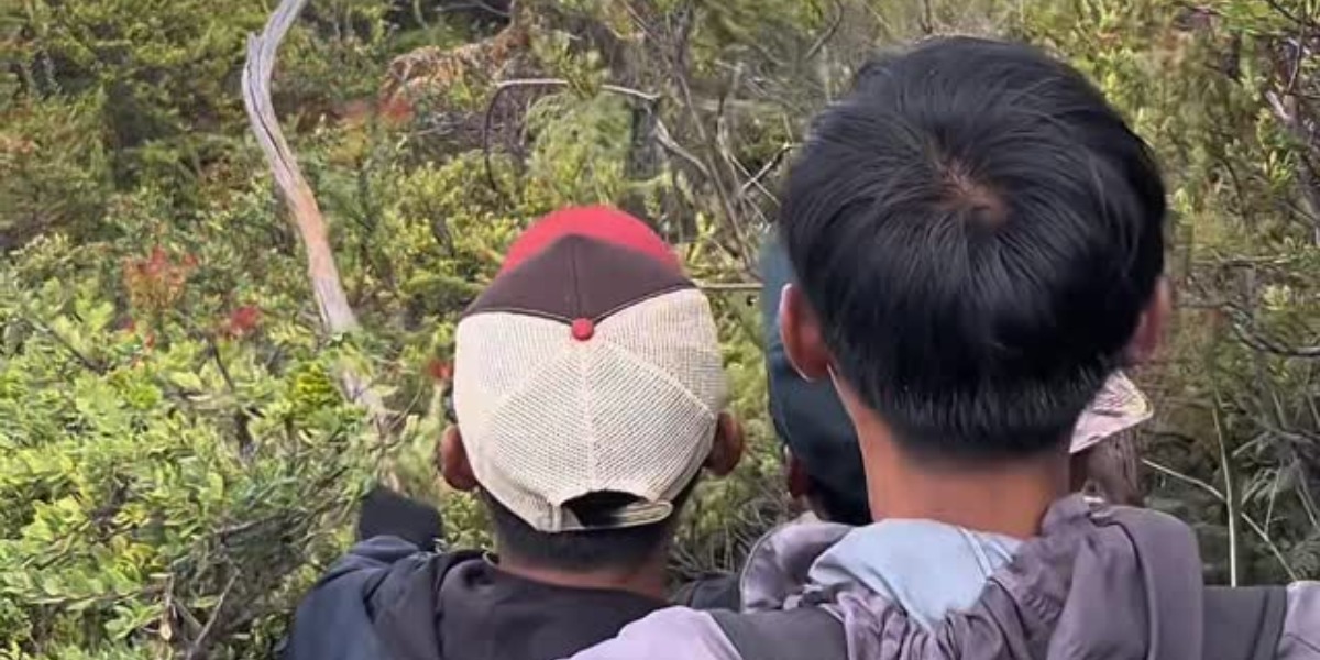 Menyoroti insiden pendaki Gunung Ijen, Banyuwangi yang sempat dilaporkan hilang kini ditemukan dalam kondisi selamat.