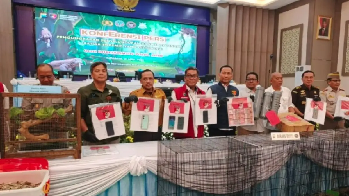 Polisi saat menunjukkan barang bukti satwa liar dilindungi saat merilis kasus tersebut di Mapolda Jatim, Surabaya, Rabu (15/4/2026). (ANTARA/HO)