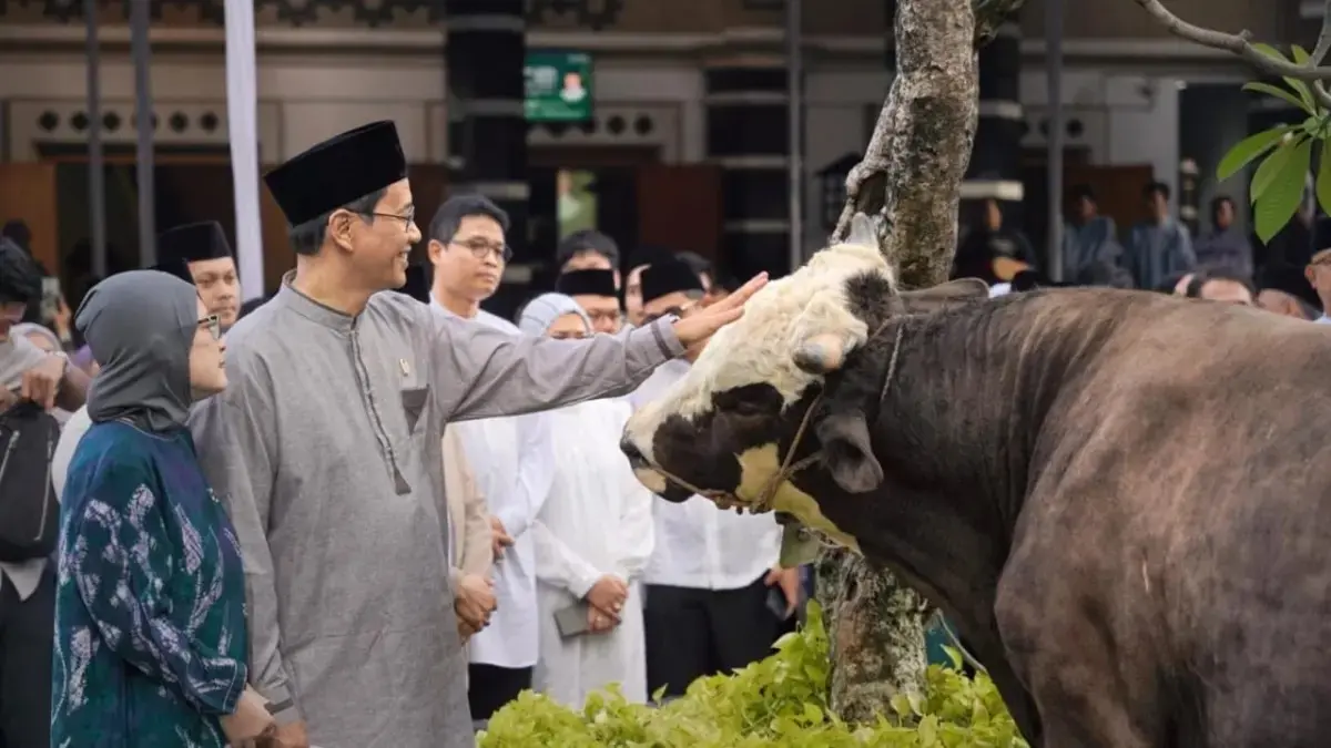 Menteri Keuangan Purbaya Yudhi Sadewa serahkan sapi kurban di Masjid Salahuddin Kantor Pusat DJP, Jakarta Selatan, Rabu (27/5). (Dok. Kemenkeu)