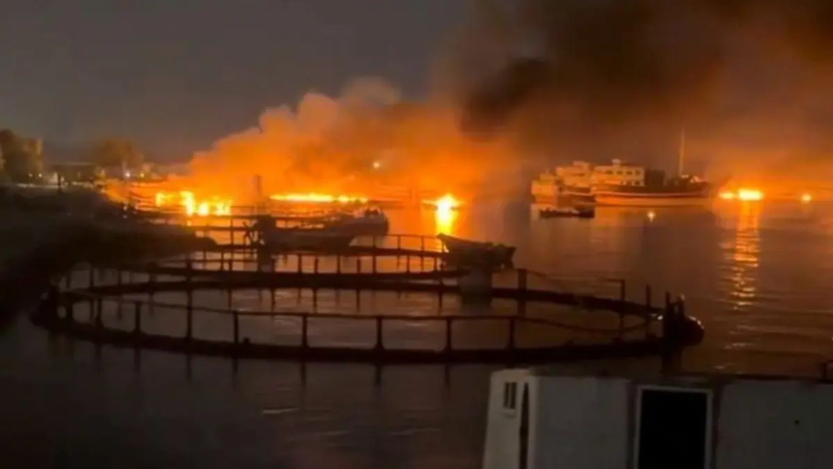 Serangan AS ke Iran di sekitar PLTN Bushehr. (Al-Jazeera)