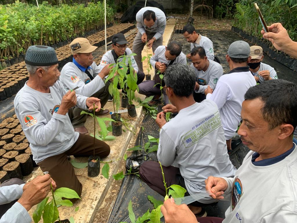 PT Bharinto Ekatama (BEK) memberikan pelatihan budidaya alpukat pada 64 petani dari 32 KTH di Perbukitan Menoreh (Kulon Progo) dan Borobudur (Kabupaten Magelang), Senin (3/7/2023).