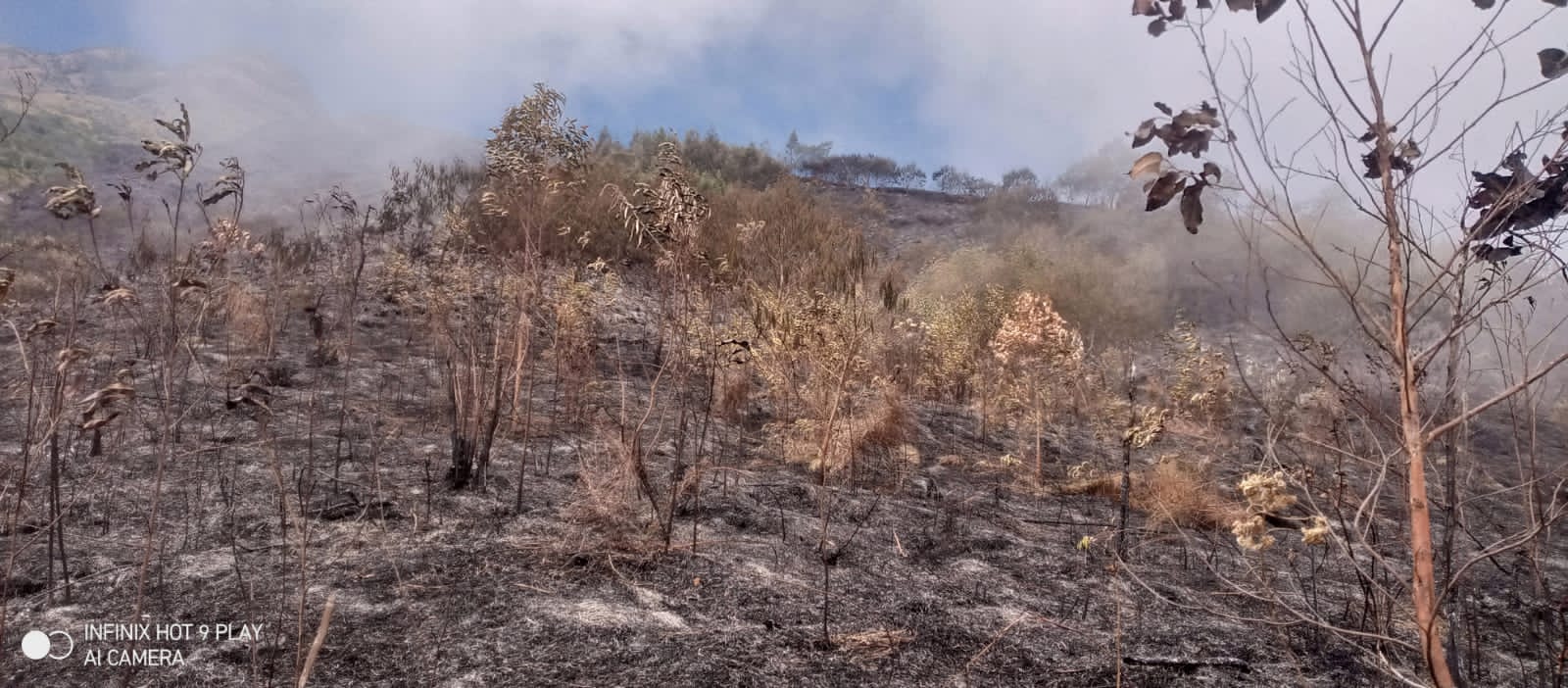 Lahan yang terbakar di lereng Gunung Sumbing berhasl dipadamkan Minggu (3/9/2023).