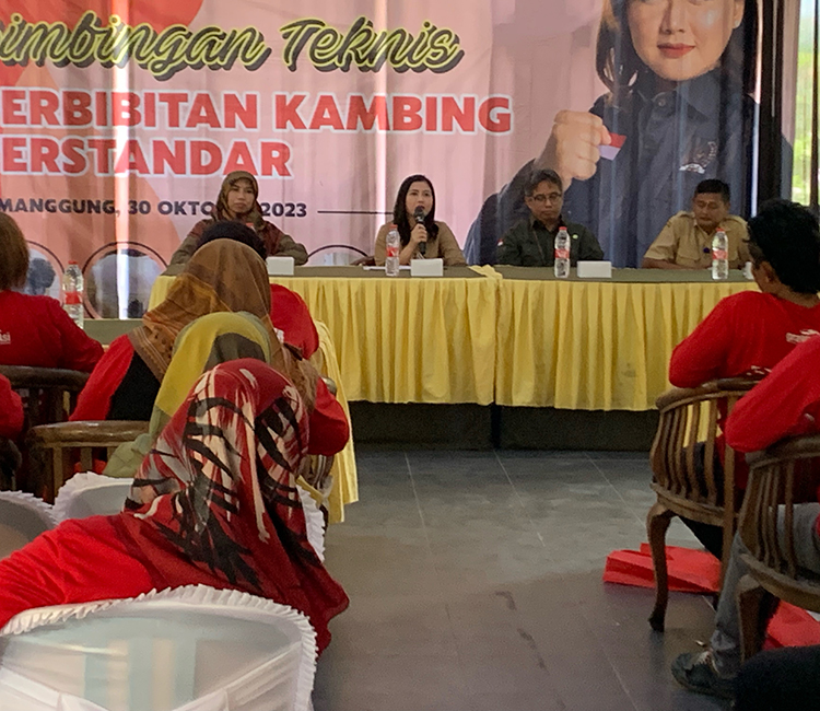 Anggota Komisi IV DPR RI dari Fraksi PDI Perjuangan Vita Ervina membuka bimbingan teknis perbibitan kambing terstandar di Kampung Sawah, Senin (30/10/2023).