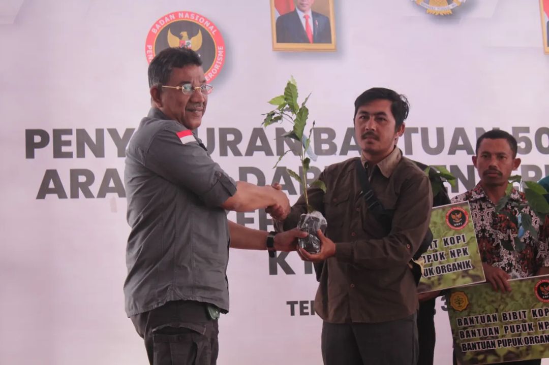 Kelompok Tani KTN Bansari menerima bantuan bibit kopi arabika beberapa waktu lalu.