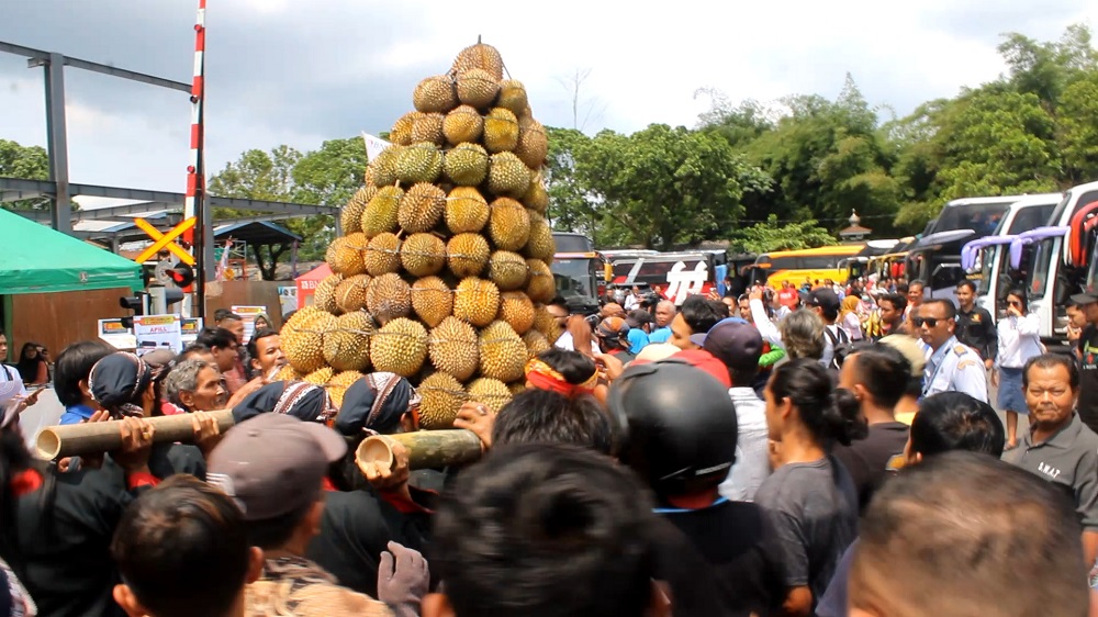 Warga berebut dua gunungan durian saat Festival Durian untuk memeriahkan Gerakan Nasional Kembali ke Angkutan Umum yang digelar di Terminal Tipe A Tidar Mage