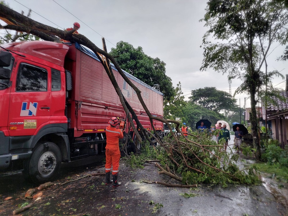 Petugas BPBD Temanggung saat mengevakuasi pohon tumbang yang menimpa truk kontainer di Jalan Sokowangi, Kebonsari.