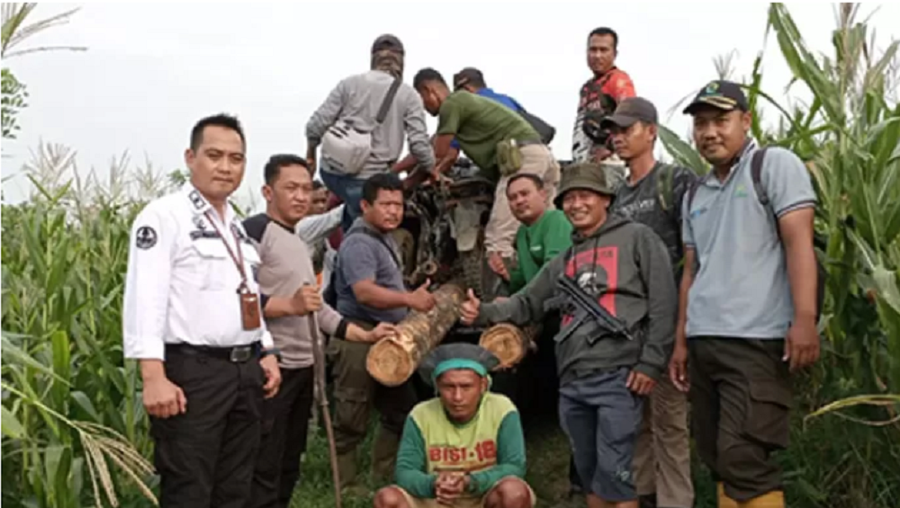 Tersangka D dan barang bukti sepuluh buah kayu curian di petak 1628 RPH Welahan di Desa Sumberjatipohon.  SIROJUL MUNIR/RADAR KUDUS