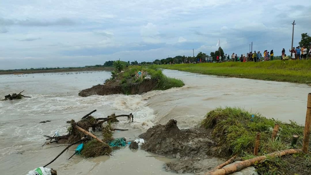 Tanggul saluran irigasi Desa Tambirejo, Kecamatan Gajah, Kabupaten Demak jebol.