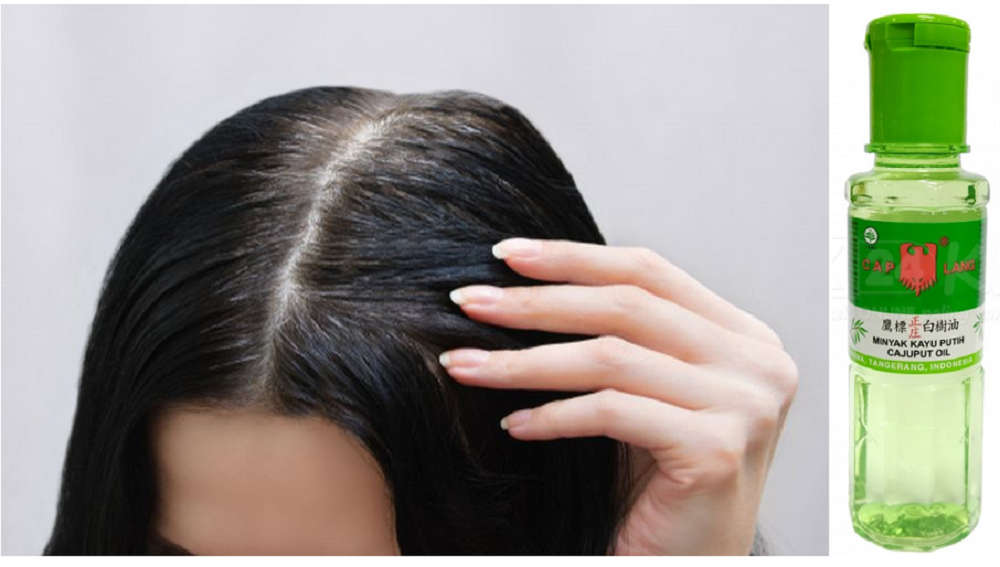 Minyak kayu putih ternyata bisa dimanfaatkan untuk merangsang pertumbuhan rambut dan mengatasi uban.