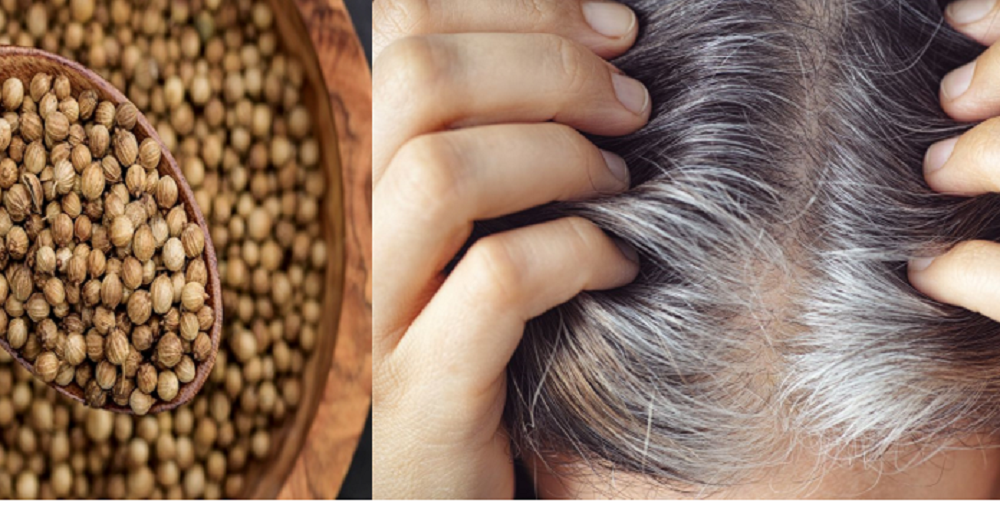 Bumbu dapur ketumbar diyakini bisa untuk menghitamkan rambut uban