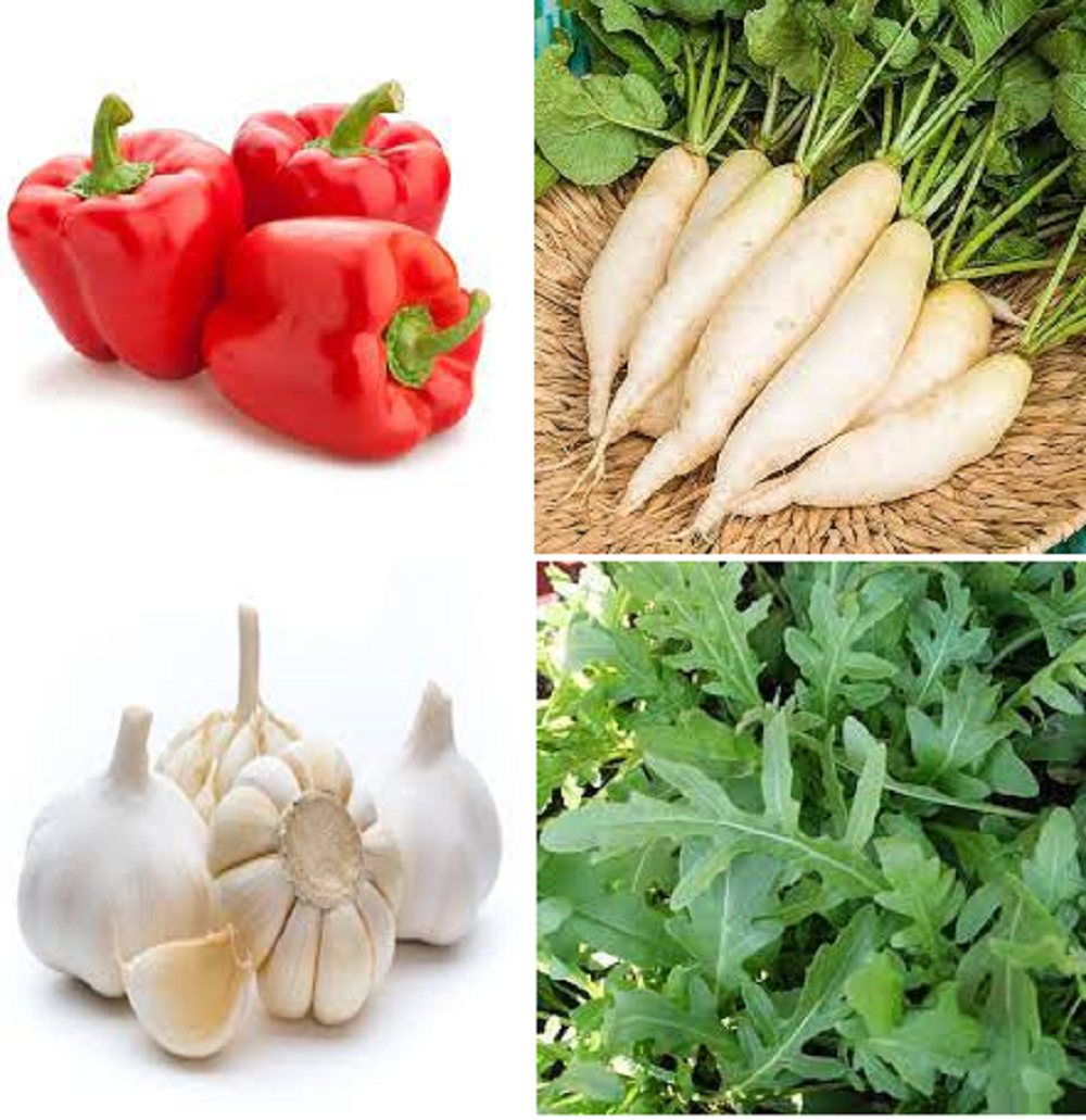 Sayuran yang aman dikonsumsi pengidap penyakit ginjal.