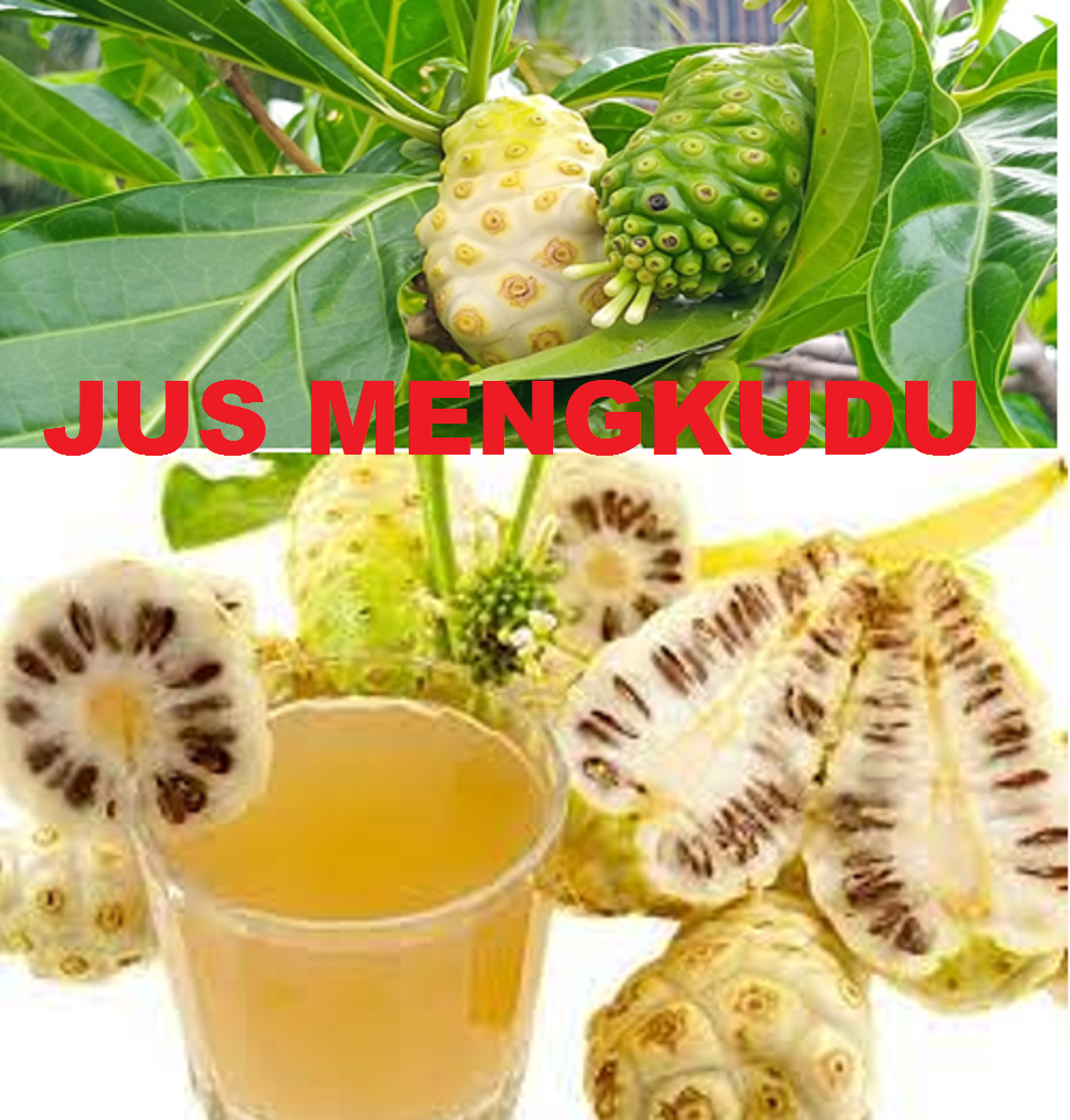 Jus mengkudu yang menyehatkan tubuh.