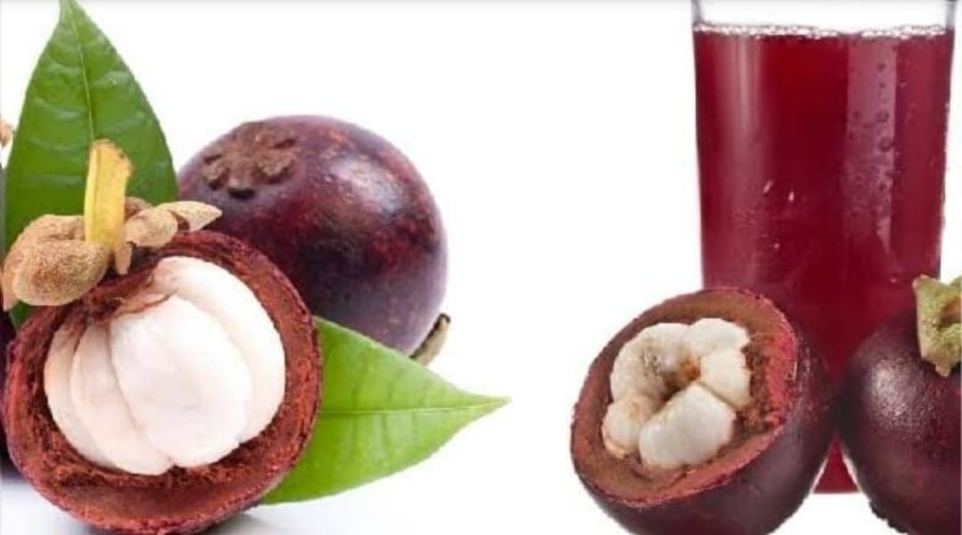 Kulit manggis bisa diolah dengan cara, seperti dibuat jus, dijadikan bahan olahan teh hingga diekstrak dan dikemas dalam bentuk tablet.