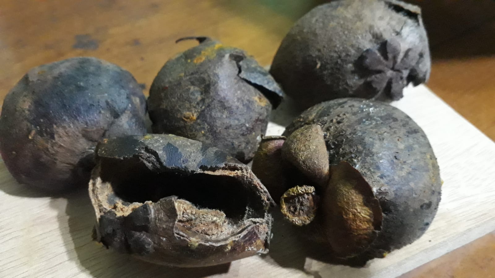 Kulit manggis yang sudah dikeringkan. Kulit manggis berkhasiat untuk menurunkan kadar gula dalam darah.