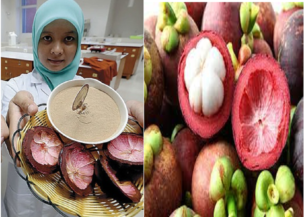 Manfaat kulit manggis tidak hanya untuk kesehatan tubuh, tapi juga baik untuk kecantikan kulit wajah.