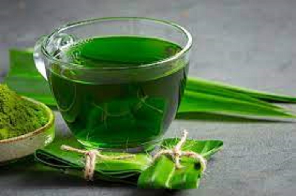 Buat Anda para penderita asam urat, untuk menurunkan kadar purin tinggi, bisa meminum rebusan daun pandan.