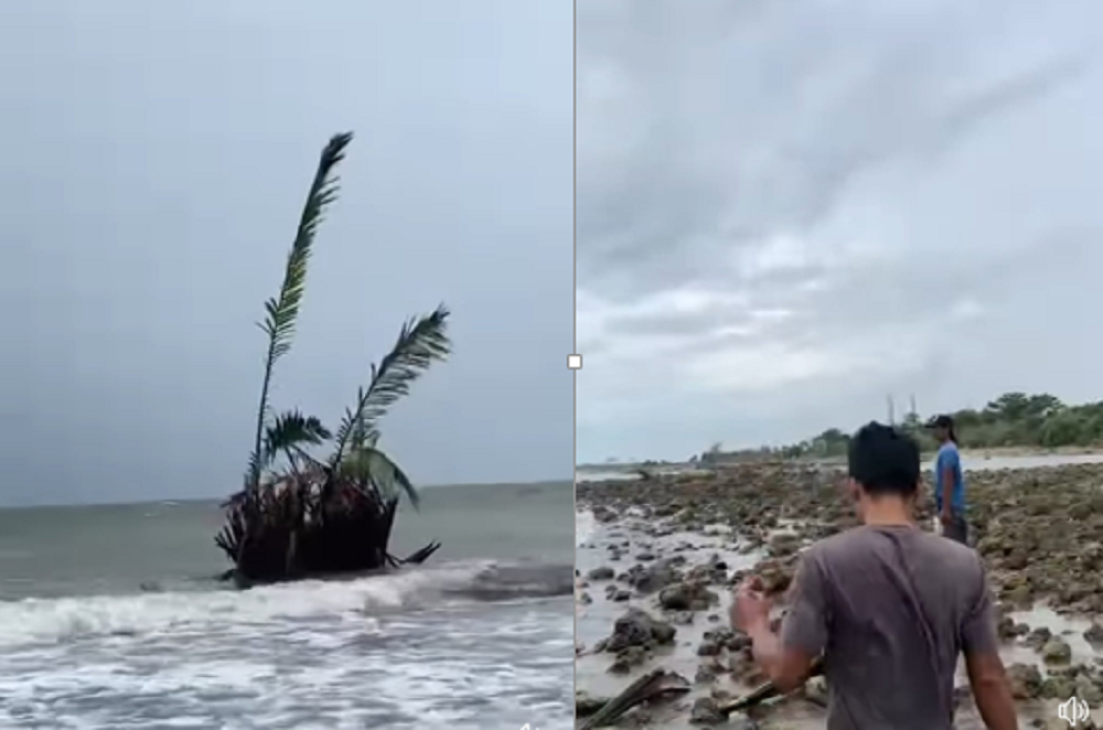 Warga saat melihat keberadaan Buyuk di Pantai Jepara. Munculnya Bunuk ini diyakini akan membawa keberkahan bagi para nelayan.