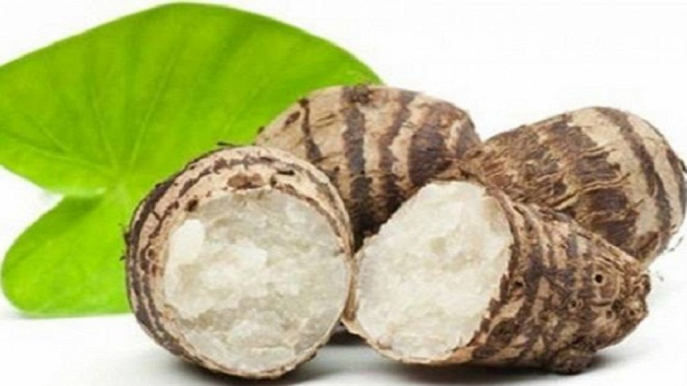 Talas rebus bisa mengontrol gula darah, antikanker, alternatif menu diet, dan memperlambat penuaan.  Meski talas saat ini banyak dijadikan cemilan kekinian, seperti keripik dan sejenisnya.