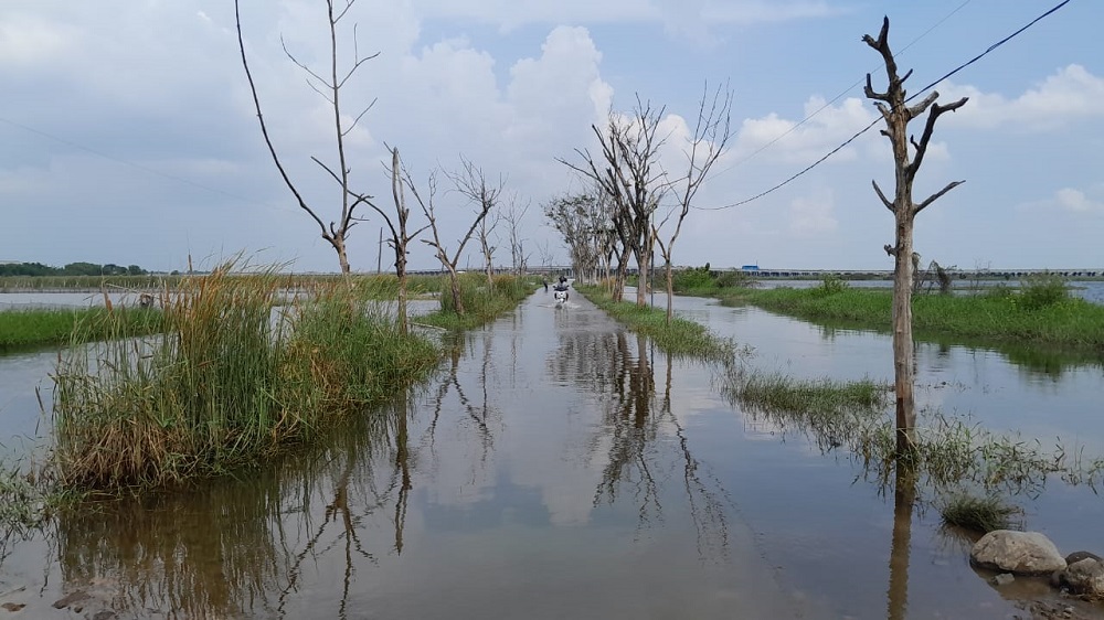 Kondisi jalanan Desa Loireng, Kecamatan Sayung, Kabupaten Demak yang masih kebanjiran karena air sulit dibuang ke Sungai Dombo yang masih penuh.