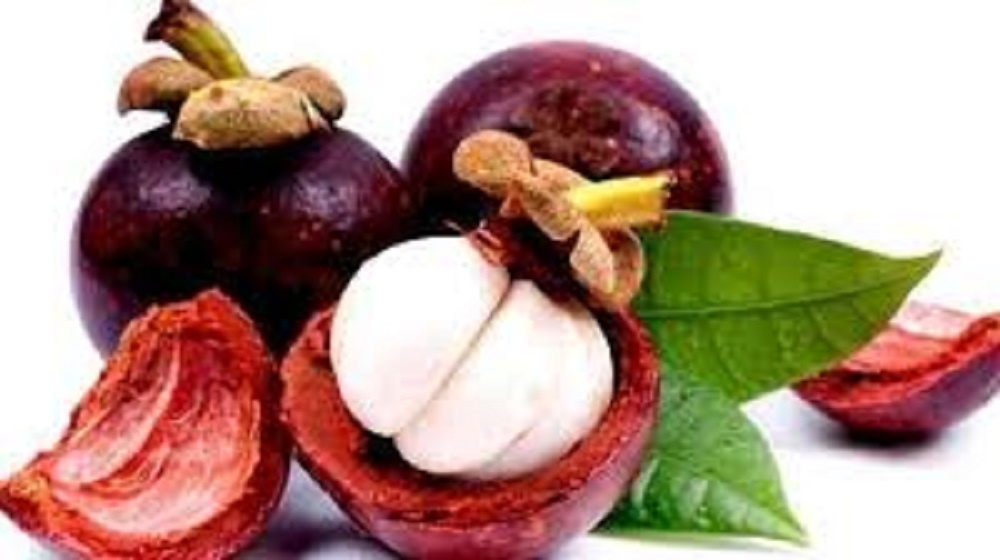 Selain rasa buah yang manis dengan tampilan eksotik, buah manggis mempunyai banyak manfaat untuk kesehatan.